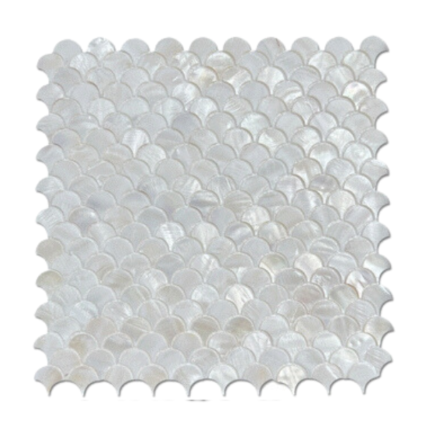 Pearly Seashell Fan Tiles 25 MM. กระเบื้องเปลือกหอยทรงพัด - Image 3