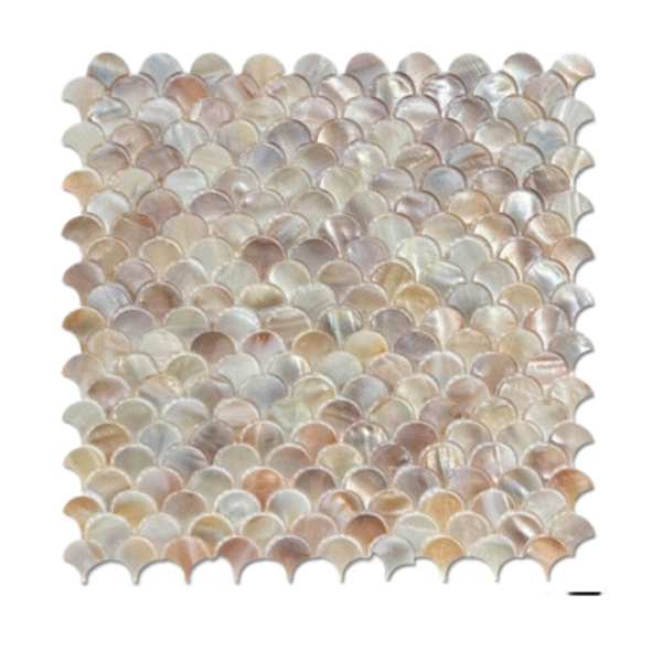 Pearly Seashell Fan Tiles 25 MM. กระเบื้องเปลือกหอยทรงพัด - Image 6