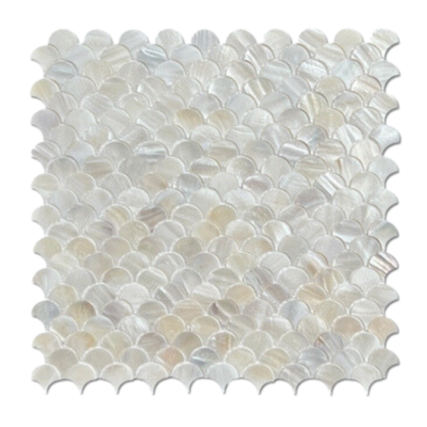 Pearly Seashell Fan Tiles 25 MM. กระเบื้องเปลือกหอยทรงพัด - Image 4