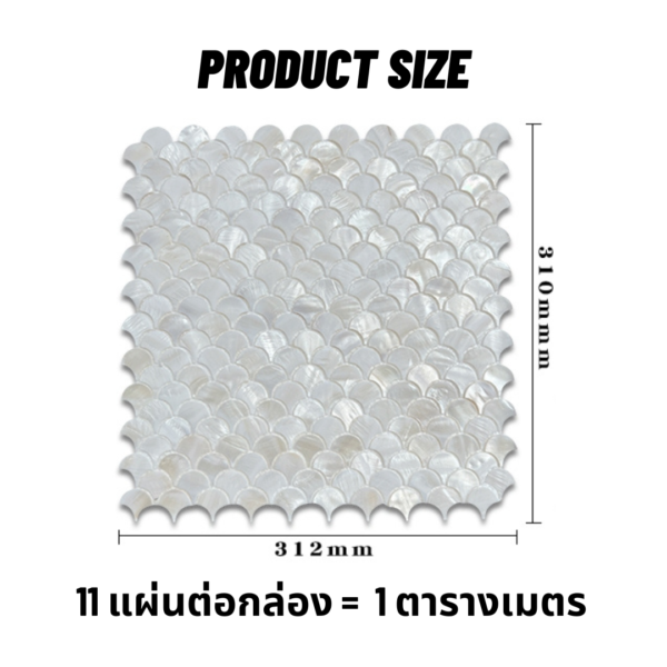 Pearly Seashell Fan Tiles 25 MM. กระเบื้องเปลือกหอยทรงพัด - Image 7